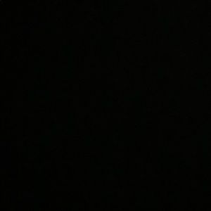 Meet your Posher, Allie